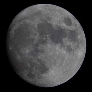 Meet your Posher, Ali